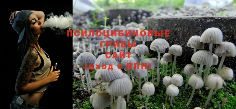 Псилоцибиновые грибы Magic Shrooms Галич